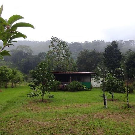 EYA Ecolodge San Isidro De El General Exterior foto